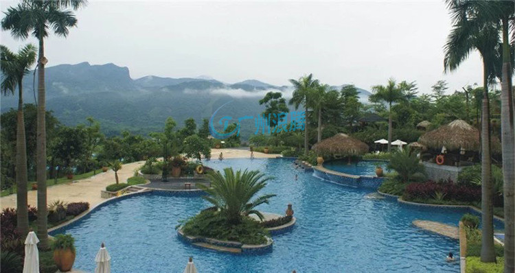 泳池設備-豪華游泳池 泳池設備-豪華游泳池